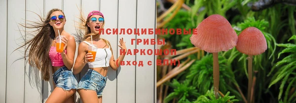 сатива Нягань