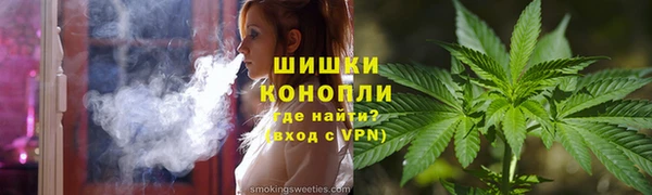 сатива Нягань
