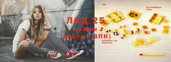 сатива Нягань