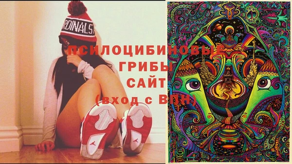сатива Нягань