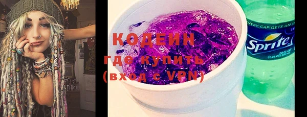 метадон Няндома