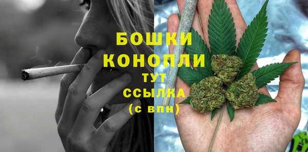 метадон Няндома