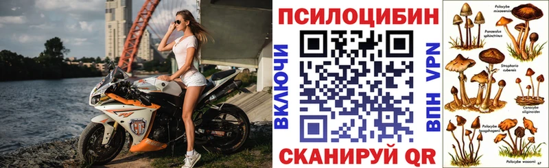 Псилоцибиновые грибы мицелий  blacksprut ССЫЛКА  Задонск 